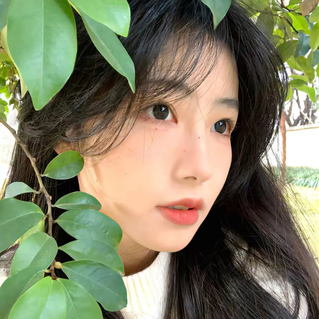 玉米地的孩子3