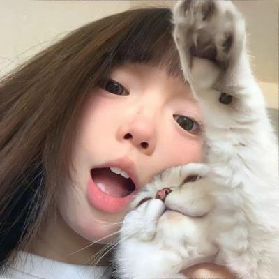 领航人